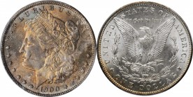 Morgan Silver Dollar

1900-O/CC Morgan Silver Dollar. Top 100 Variety. MS-64 (PCGS).

PCGS# 7268. NGC ID: 256G.