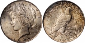 Peace Silver Dollar

1922 Peace Silver Dollar. VAM-2A. Top 50 Variety. Earring. MS-62 (PCGS).

PCGS# 133737. NGC ID: 257C.