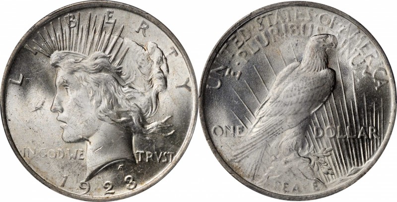 Peace Silver Dollar

1923 Peace Silver Dollar. VAM-1A. Top 50 Variety. Whisker...