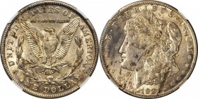 Mint Errors

1921-S Morgan Silver Dollar--Planchet Crack @ 7 O'Clock--Unc Details--Obverse Scratched (NGC).