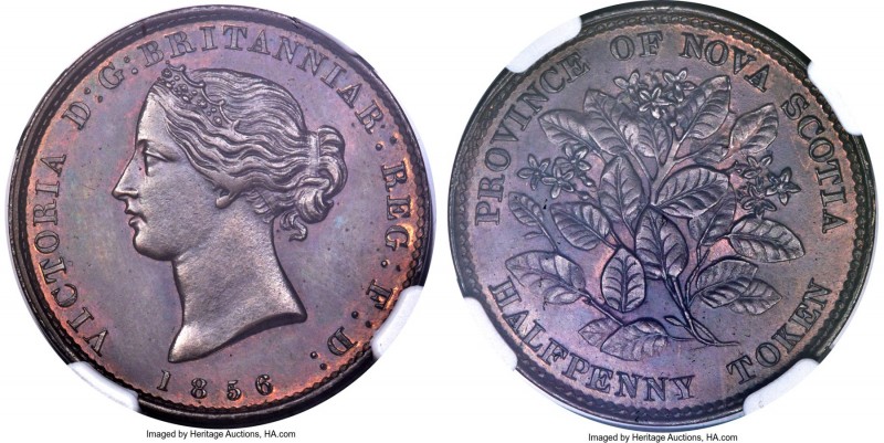 Nova Scotia. Victoria bronze Specimen "Mayflower" 1/2 Penny Token 1856 SP65 Brow...