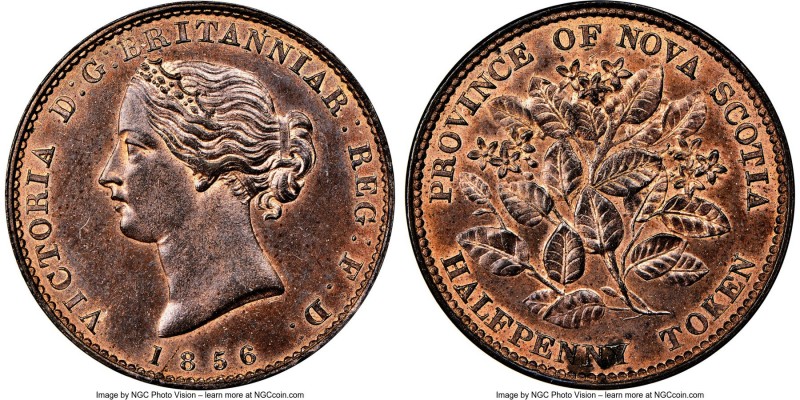 Nova Scotia. Victoria bronze "Mayflower" 1/2 Penny Token 1856 MS64 Red and Brown...