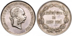 FRANZ JOSEPH I (1848 - 1916)&nbsp;
Silver medal Award for horse farming, variant Czech inscription in wreath, b. l., 16,1g, Wien. J. Tautenhayn, 40 m...
