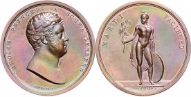 CZECHOSLOVAKIA&nbsp;
AE Medal Karel Schwarzenberg, b. l., 54,7g, L. Pichler, 48 mm&nbsp;

about UNC | about UNC