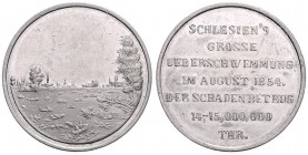 CZECHOSLOVAKIA&nbsp;
AE medal Flood in Silesia, 1854, 19,5g, 36 mm&nbsp;

VF | VF