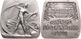 CZECHOSLOVAKIA&nbsp;
Silver Plaquette Trade Fairs Brno, 1923, 83,1g, Kremnica. 46 x 46 mm, Ag 800/1000&nbsp;

EF | EF