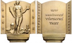 CZECHOSLOVAKIA&nbsp;
AE medal Trade Fairs Brno, original box, gold plated, 1925, 227,6g, Kremnica. 65 x 78 mm&nbsp;

EF | EF