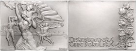 CZECHOSLOVAKIA&nbsp;
AE Plaquette Czechoslovak Sokol movement, silver plated, b. l., 288,6g, J. Kulhánek, 100 x 75 mm&nbsp;

UNC | UNC