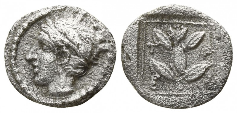Macedon. Trieros 450-400 BC.
Hemiobol AR

9mm., 0,32g.

Laureate head of Ap...