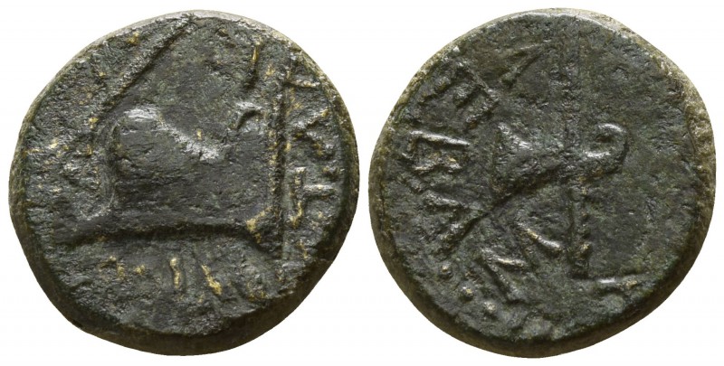 Kings of Thrace. Uncertain mint. Rhoemetalkes I 11-12 BC.
Bronze Æ

13mm., 2,...