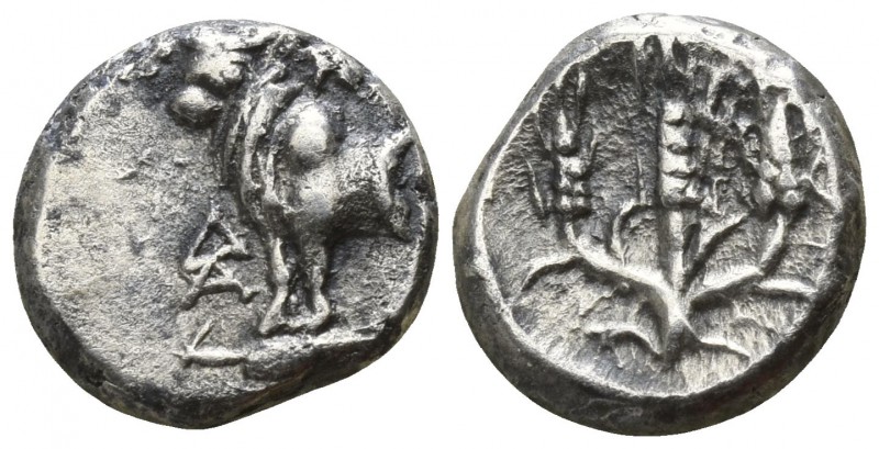 Bithynia. Kalchedon 367-340 BC.
Hemidrachm AR

10mm., 1,70g.

Forepart of b...