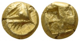 Mysia. Kyzikos circa 600-550 BC. Hemihekte EL