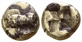 Mysia. Kyzikos 550-500 BC. Fourrée Hekte