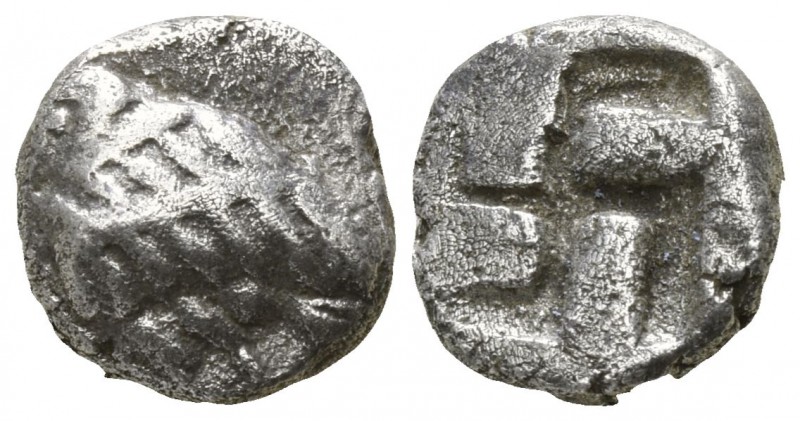 Troas. Abydos circa 500-480 BC.
Diobol AR

9mm., 1,12g.

Eagle standing lef...