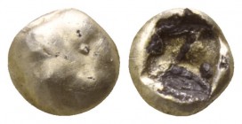 Ionia. Ephesos  circa 600-550 BC. 1/48 Stater fourrée EL