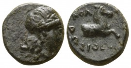 Ionia. Kolophon . ΔΩΣΙΘΕΟΣ, magistrate circa 300-200 BC. Bronze Æ