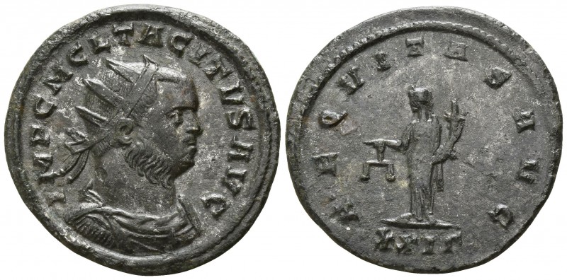 Tacitus AD 275-276. Rome
Antoninian Æ

21mm., 3,32g.

IMP C M CL TACITVS AV...