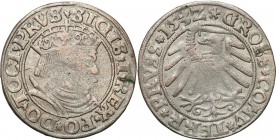 Sigismund I Old
POLSKA/ POLAND/ POLEN/ LITHUANIA/ LITAUEN

Zygmunt I Stary. Grosz (Groschen) 1532, Torun 

Końcówki napisów PRVSSI / PRVSS. Miecz...