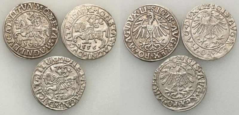 Sigismund II August
POLSKA/ POLAND/ POLEN/ LITHUANIA/ LITAUEN

Zygmunt II Aug...