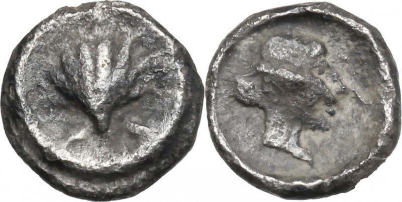 Greek Italy. Southern Apulia, Tarentum. AR Hemilitron, 500-430 BC. D/ Cockle she...