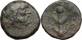 Africa. Cyrenaica, Cyrene. Koinon Issue. AE 23 mm. c. 250 BC. D/ Head of Zeus right. R/ Silphium plant with four leaves. SNG Cop. 1280; SNG Morcom 947...