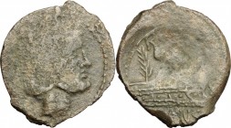 C. Vibius C. f. Pansa. AE As, 90 BC. D/ Laureate head of Janus; I above. R/ Three prows right on which palm branch; above, R[OMA]; below, [C VIB]IVS. ...