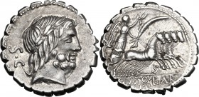 Q. Antonius Balbus. AR Denarius serratus, 83-82 BC. D/ Laureate head of Jupiter right, S.C behind. R/ Victory in quadriga right; below horses, S; in e...