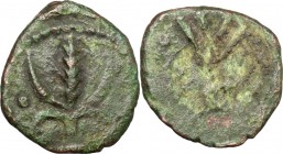 Salerno. Guglielmo I (1154-1166). Follaro con palma e W REX. Bellizia 217. Travaini 336a. D'Andrea-Contreras 291. AE. g. 1.25 mm. 12.50 BB+/BB.