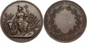 Società Acclimazione e Agricoltura in Sicilia. Medaglia 1861 per la fondazione della società. AE. mm. 43.00 Inc. L. Gori. R. Bel BB.