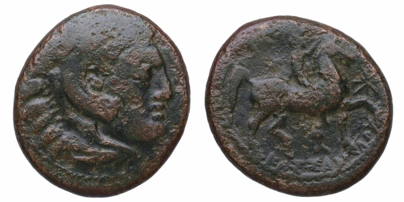 Filipo III Arrideo (323-317 aC). Macedonia. GC 6755. Ae. 6,19 g. Cabeza de Herac...