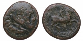 Filipo III Arrideo (323-317 aC). Macedonia. GC 6755. Ae. 6,19 g. Cabeza de Heracles recubierta con piel de león /Jinete desnudo a derecha, delante est...