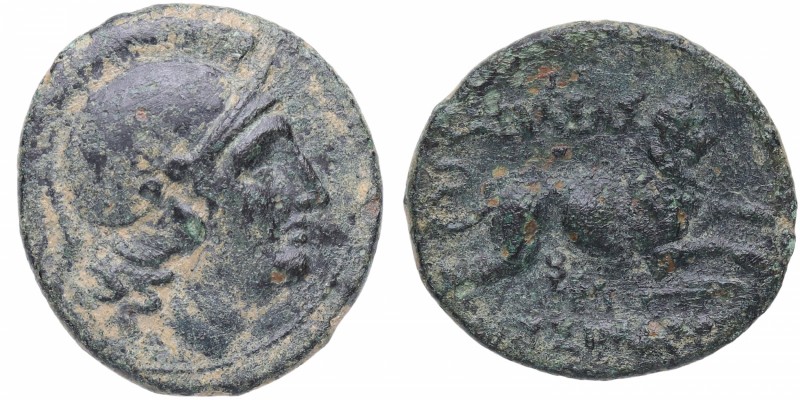 s. III aC. Imperio Seléucida. Seleukos II. Norte de Siria. Divisor de bronce. Ae...