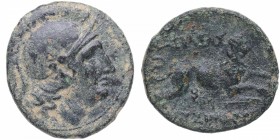 s. III aC. Imperio Seléucida. Seleukos II. Norte de Siria. Divisor de bronce. Ae. 4,04 g.  Cabeza de Atenea a derecha con casco ático / Caballo a dere...