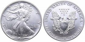 1991. Estados Unidos. 1 Dólar. Ag. SC. Est.25.