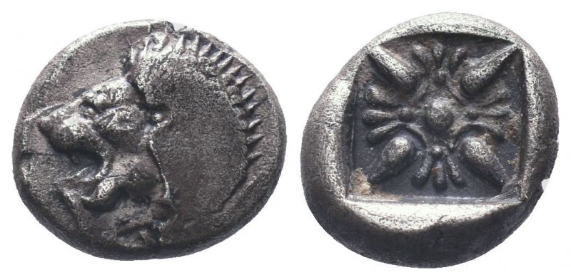Miletos AR Obol, c. 525-475 BC

Condition: Very Fine

Weight: 1.10 gr
Diameter: ...