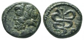 CILICIA, Uncertain. 164-27 BC. Æ 


Condition: Very Fine

Weight: 2.90 gr
Diameter: 14 mm