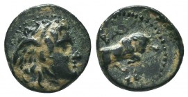Seleukid Kingdom. 144-142 B.C. AE 

Condition: Very Fine

Weight: 1.30 gr
Diameter: 12 mm