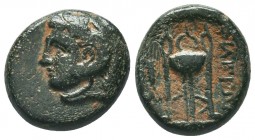 Seleukid Kingdom. 144-142 B.C. AE 

Condition: Very Fine

Weight: 6.00 gr
Diameter: 17.50 mm