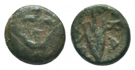 Seleukid Kingdom. 144-142 B.C. AE 

Condition: Very Fine

Weight: 0.70 gr
Diameter: 8 mm