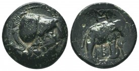 Seleukid Kingdom. 144-142 B.C. AE 

Condition: Very Fine

Weight: 5.90 gr
Diameter: 20 mm