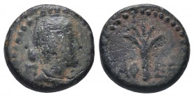 Seleukis and Pieria, Antioch. Pseudo-autonomous issue, c. AD 54-68. Æ 

Condition: Very Fine

Weight: 2.60 gr
Diameter: 13 mm