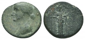 Julia Augusta (Livia, 14-29). Cilicia, Augusta. Æ

Condition: Very Fine

Weight: 3.50 gr
Diameter: 20 mm