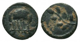 SYRIA, Antioch. Pseudo-autonomous issue. AE 

Condition: Very Fine

Weight: 0.70 gr
Diameter: 9 mm