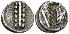 Metapontum AR Stater, c. 470-440 BC 

Metapontum, Lucania. AR Nomos (18 mm, 7.96 g), c. 470-440 BC.
Obv. META, barley-ear.
Rev. Barley-ear incuse....