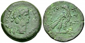 Claudius AE Diobol, Alexandria 

Claudius (41-54 AD). AE Diobol (25 mm, 11.95 g), Alexandria, Egypt. Dated year 13 = 52-53 AD.
Obv. TI KΛAΥ KAI CEB...