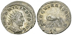 Philippus I AR Antoninianus, Lupa Romana reverse 

Philippus I (244-249 AD). AR Antoninianus (22 mm, 3.45 g), Rome, 248.
Obv. IMP PHILIPPVS AVG, ra...