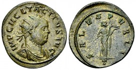 Tacitus AE Antoninianus, Ticinum 

Tacitus (275-276 AD). AE Antoninianus (22-23 mm, 4.11 g), Ticinum.
Obv. IMP C M CL TACITVS AVG, radiate, draped ...