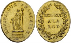 France, Medaille en bronze doré s.d. (1792) 

France. Convention. Médaille en bronze doré s.d. (c. 1792) (43x52 mm, 24.52 g).
Av. RÉPUBLIQUE FRANÇA...