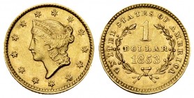 USA 1 Dollar 1853 

USA. AV 1 Dollar 1853 (1.67 g).
KM 73.

Extremely fine.