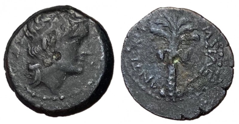 Seleukid Kings of Syria, Antiochos III The Great, 222 - 187 BC
AE Dilepton, Tyr...